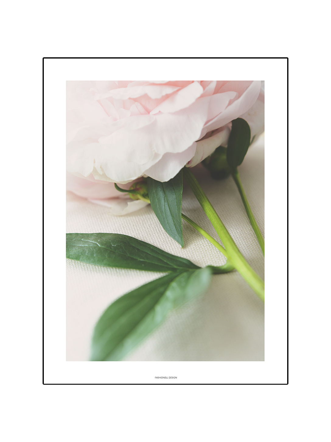 Blade Peony