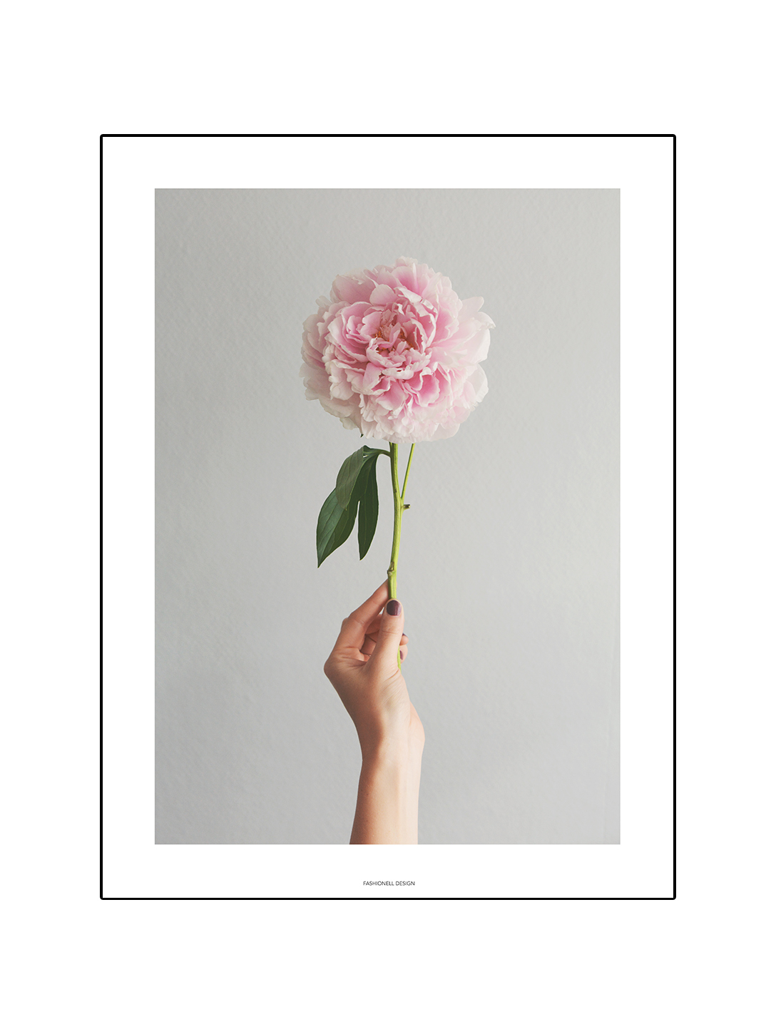 Peony in hand