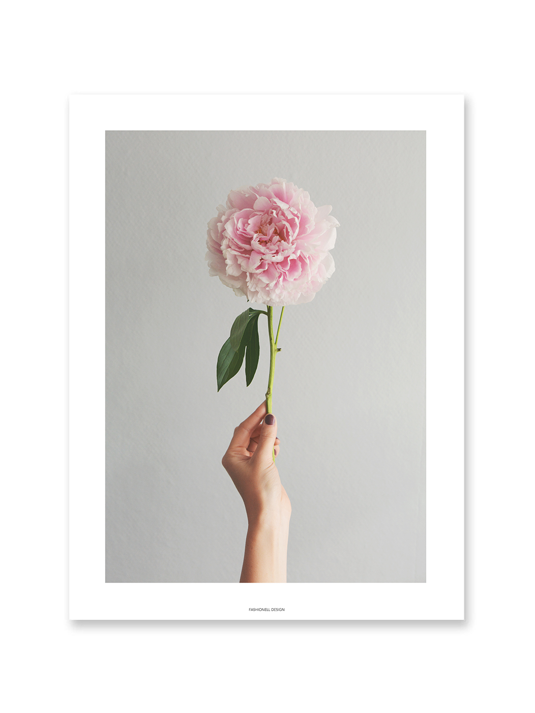 Peony in hand