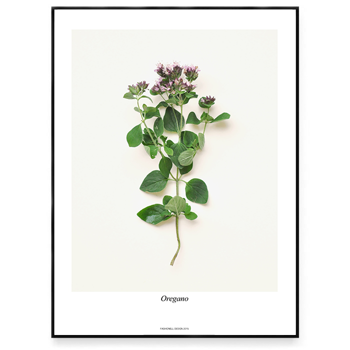 Oregano