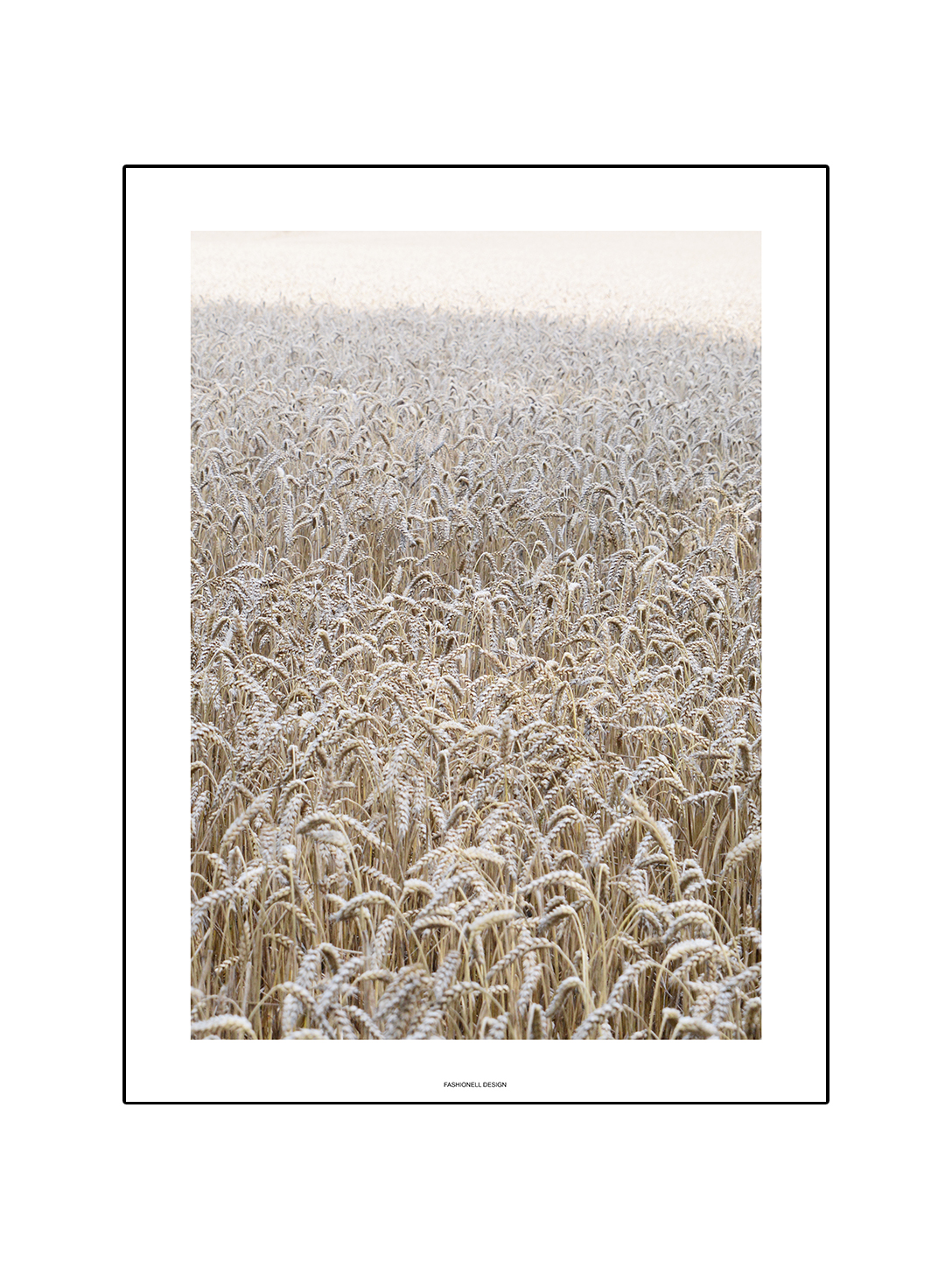 Wheat