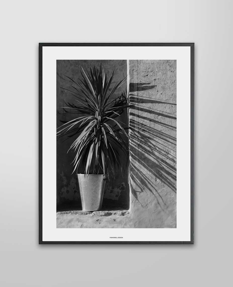 Palm - 3