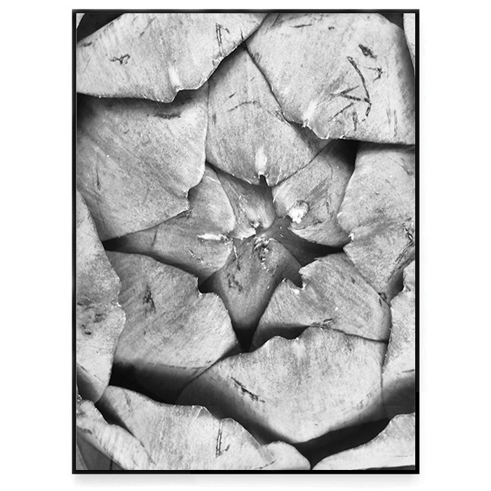 Artichoke - 3