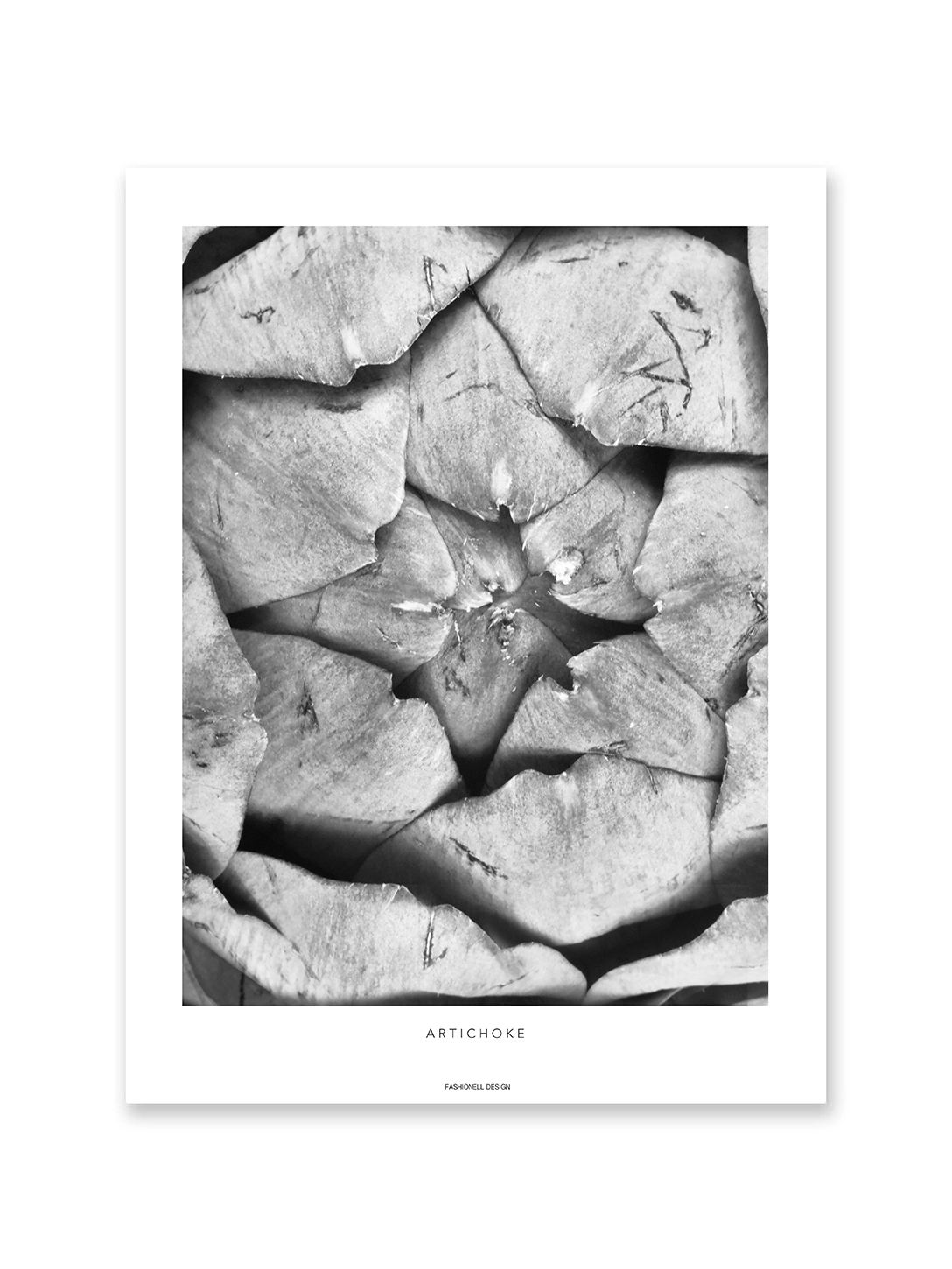 Artichoke