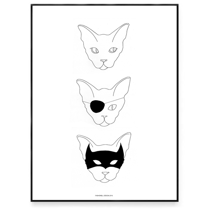 My life as a Cat 