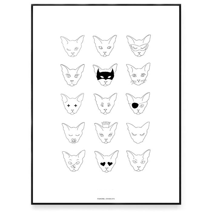 My life as a Cat 