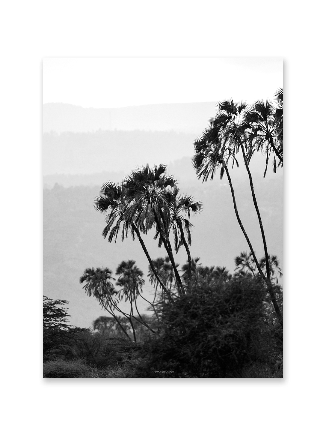 Palm trees