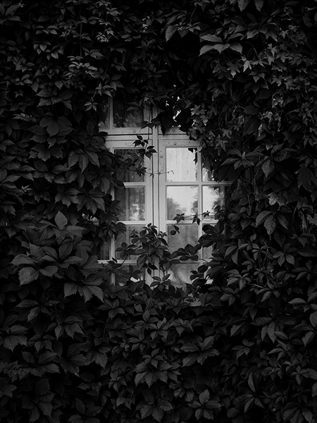 Garden Window - 3