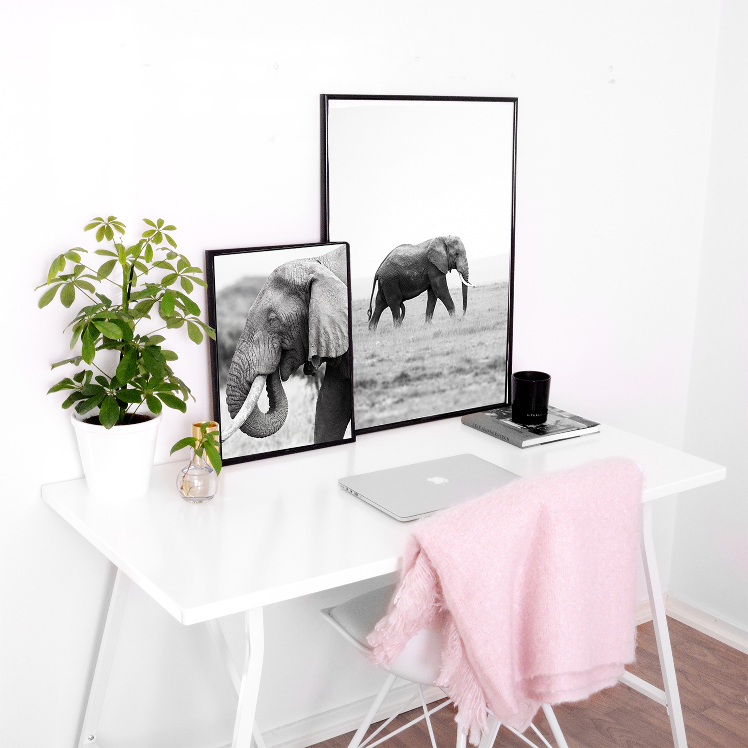 Elephant - 2