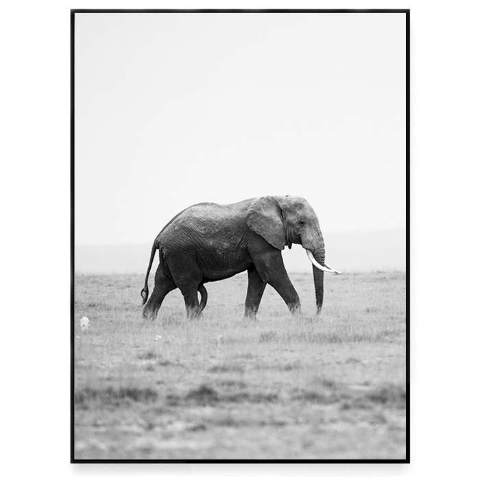 Walking elephant  - 2