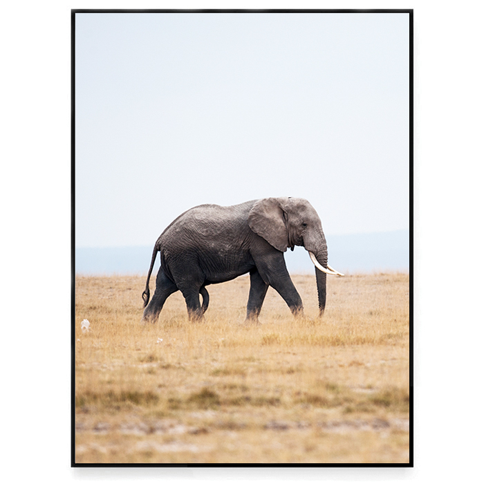 Walking elephant 