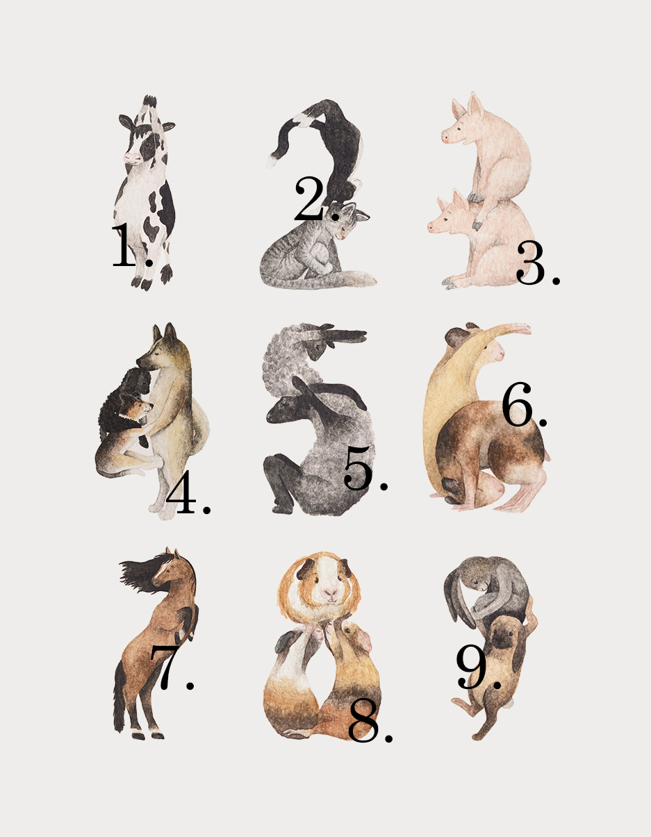 Animal's Birth poster - 4