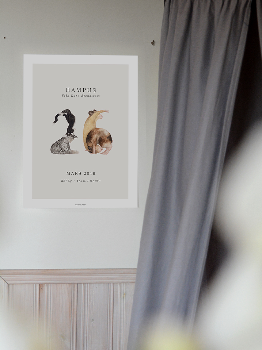 Animal's Birth poster - 3