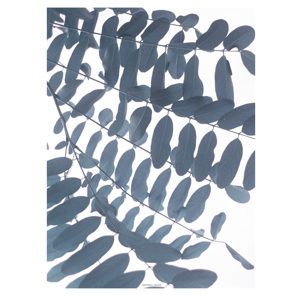 Leaves - 3