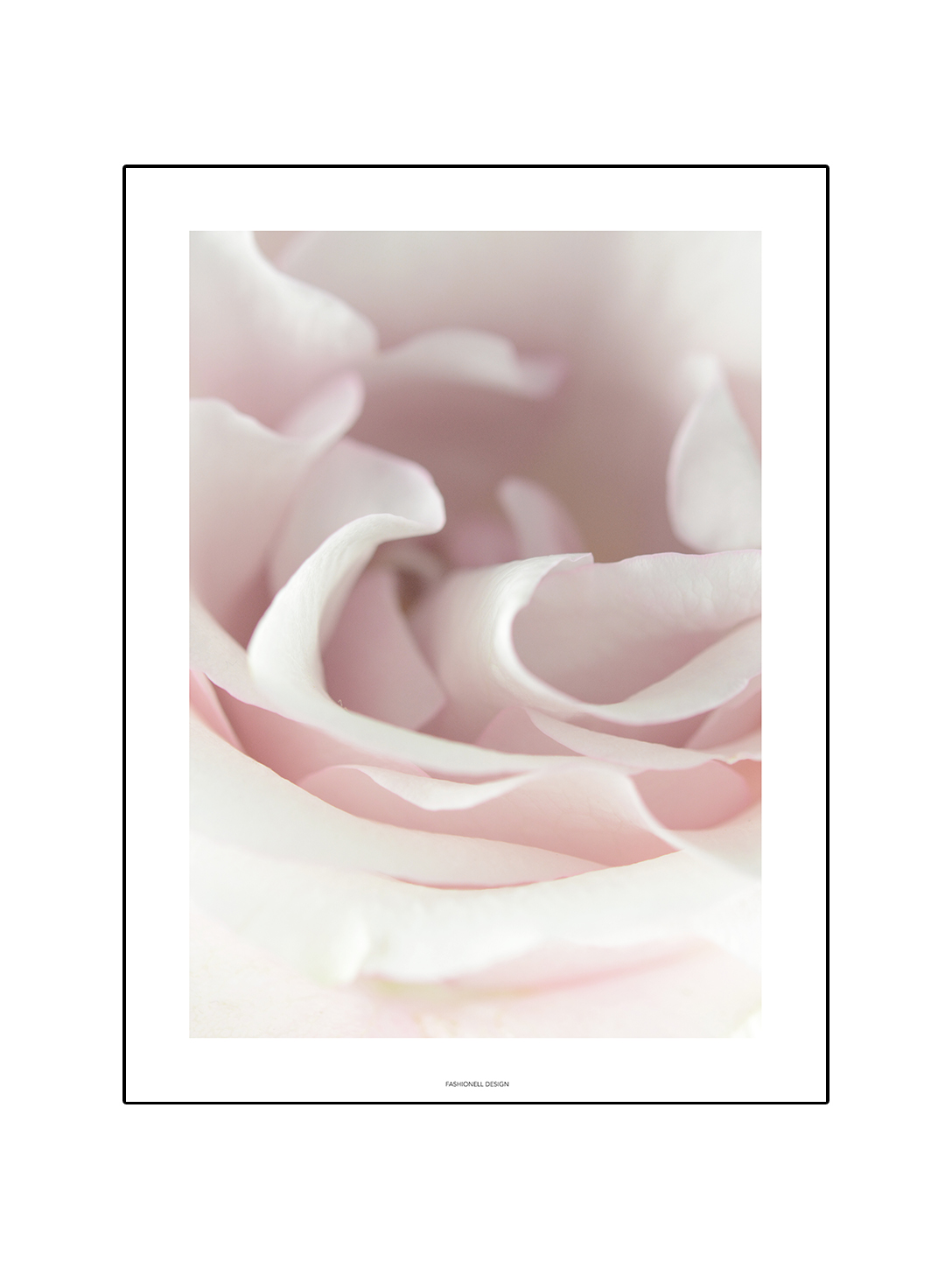 Soft rose