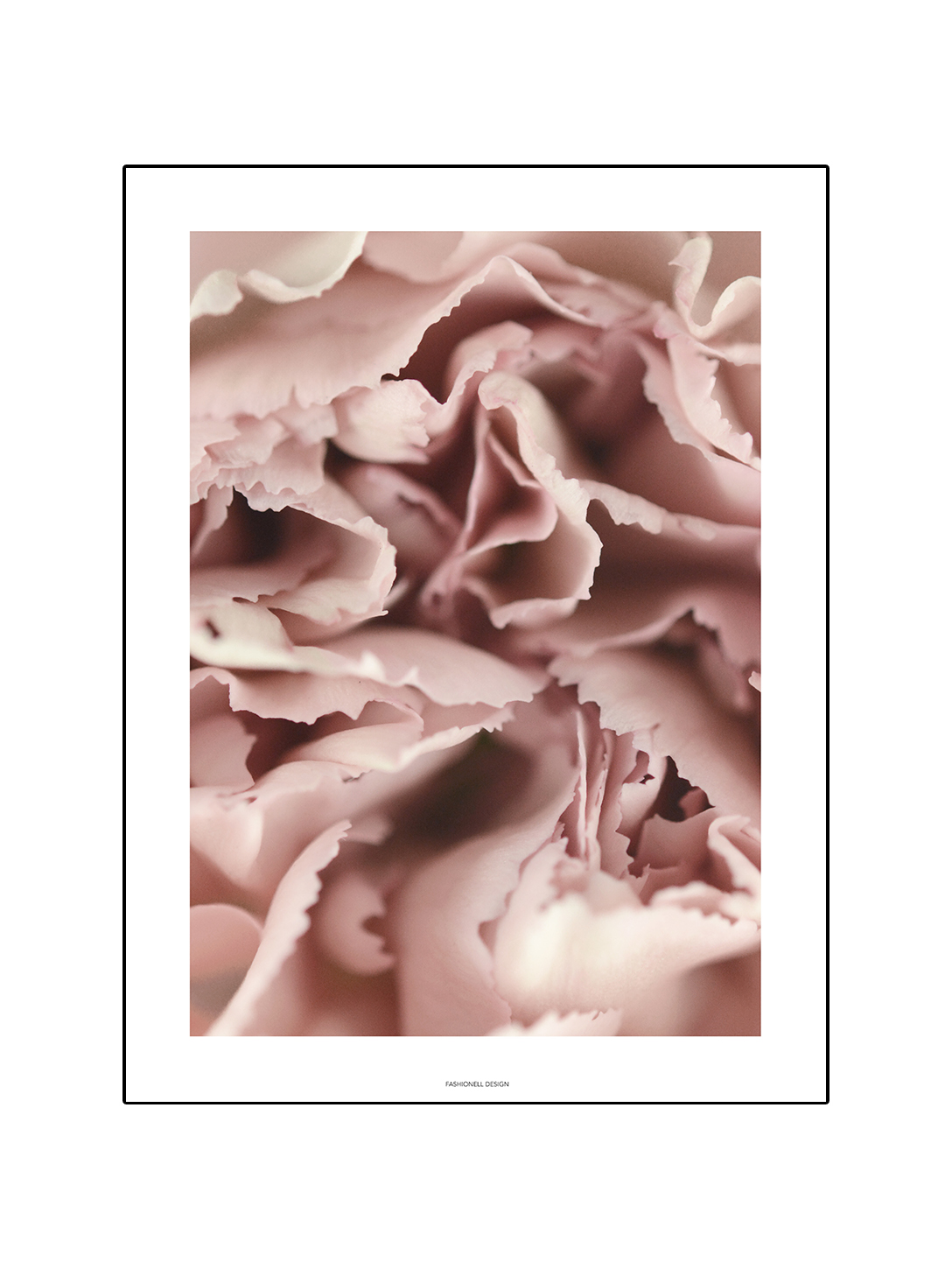 Carnation pink - 3