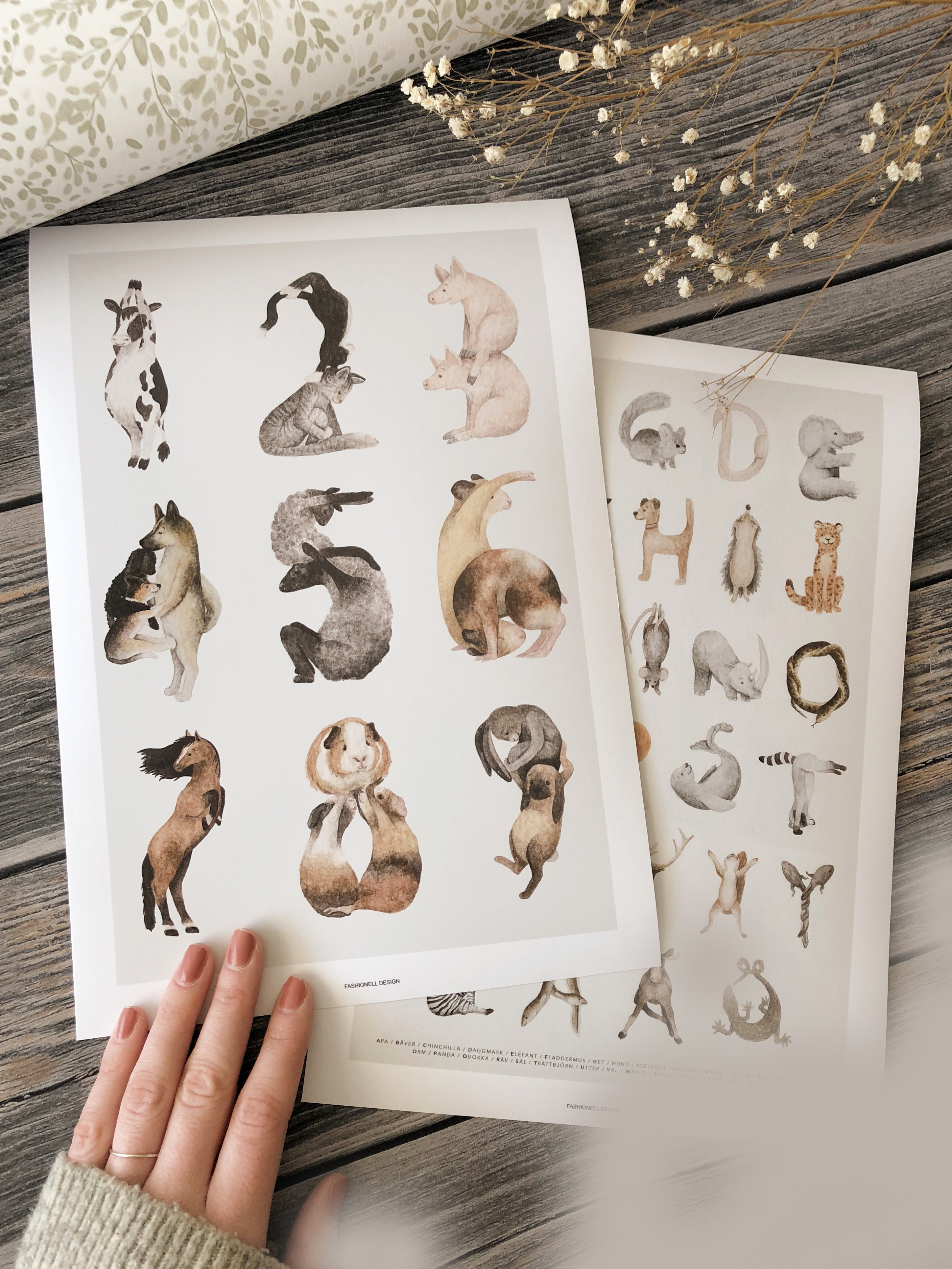 Animals 123 - one of our popular number posters CLICK HERE 