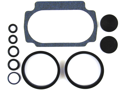 Fuel Injection Seal Kit Flt 1995-01