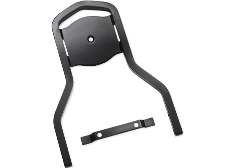 Gloss Black Sissybar - Dyna