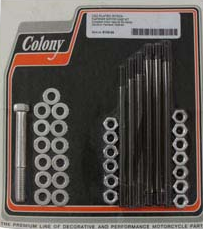Motor Case Bolt Kit, B/T 1979-95,Std,Chr