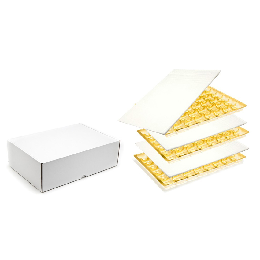Transportask - 2