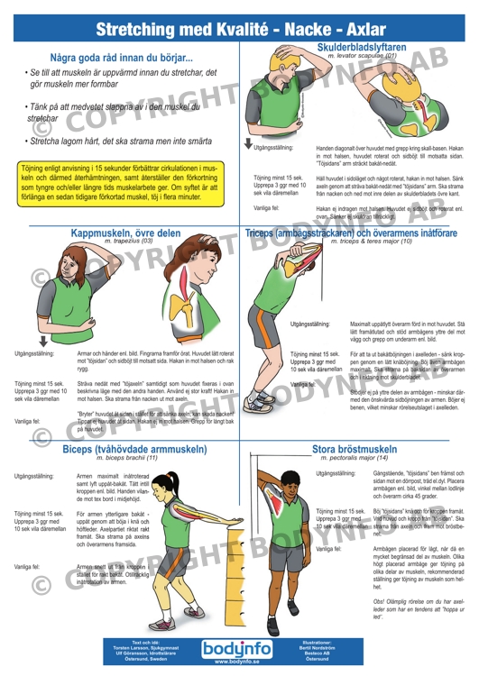 Stretching 4 st - 2