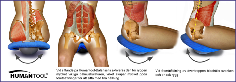 Balanssits HUMANTOOL - 2