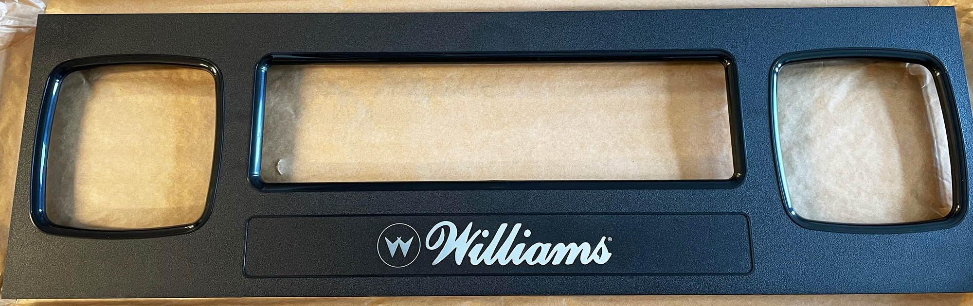 Display/Speaker Panel WPC 95 Williams Silver