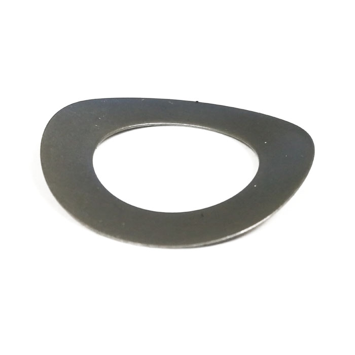 Spring Washer