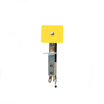 Congo Yellow *Travl* & *Com* Target