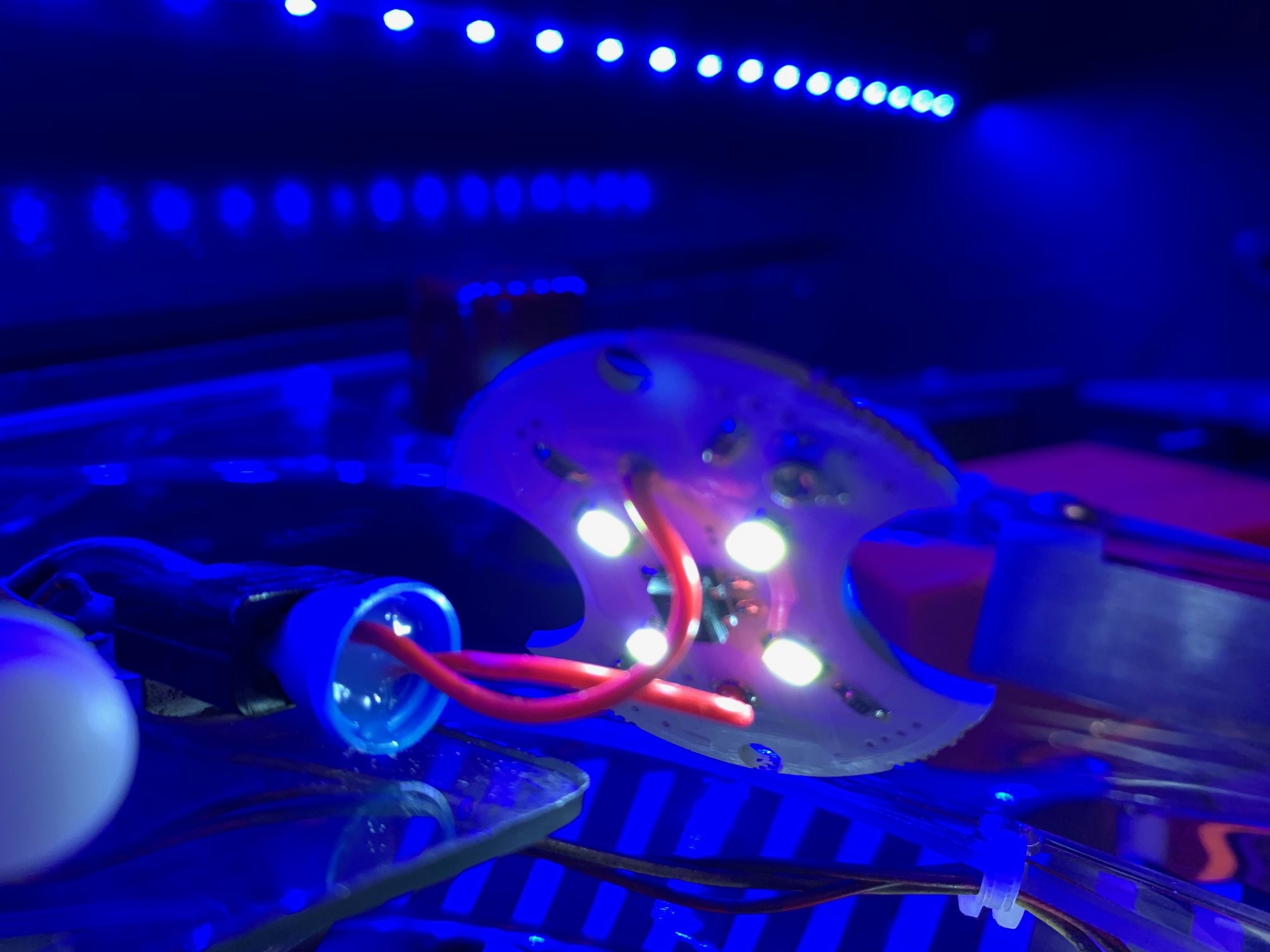 Premium Pop Bumper Cap Lighting - 4