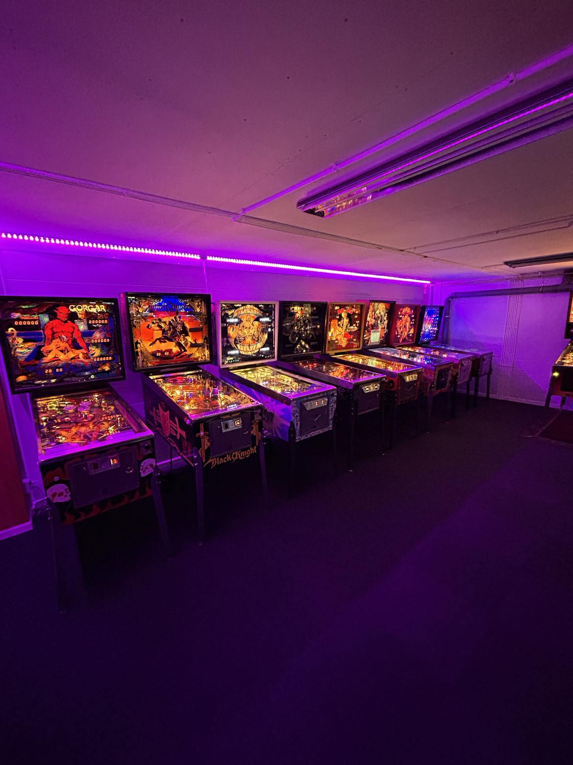 Free Play - Flipper Sunday 26/7 - 7