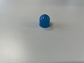 Bulb Cap, Blue