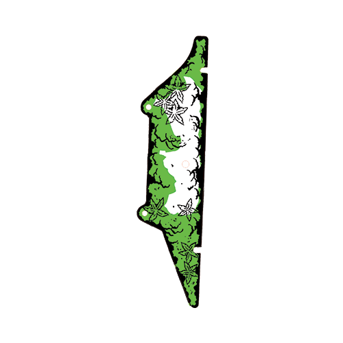 Congo - Plast 5