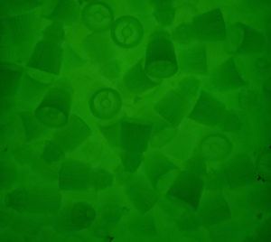 Star Post - Glow In The Dark - 2