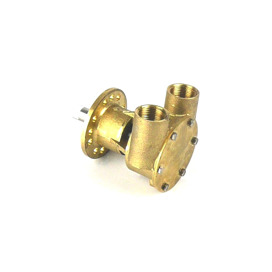 Impellerpump