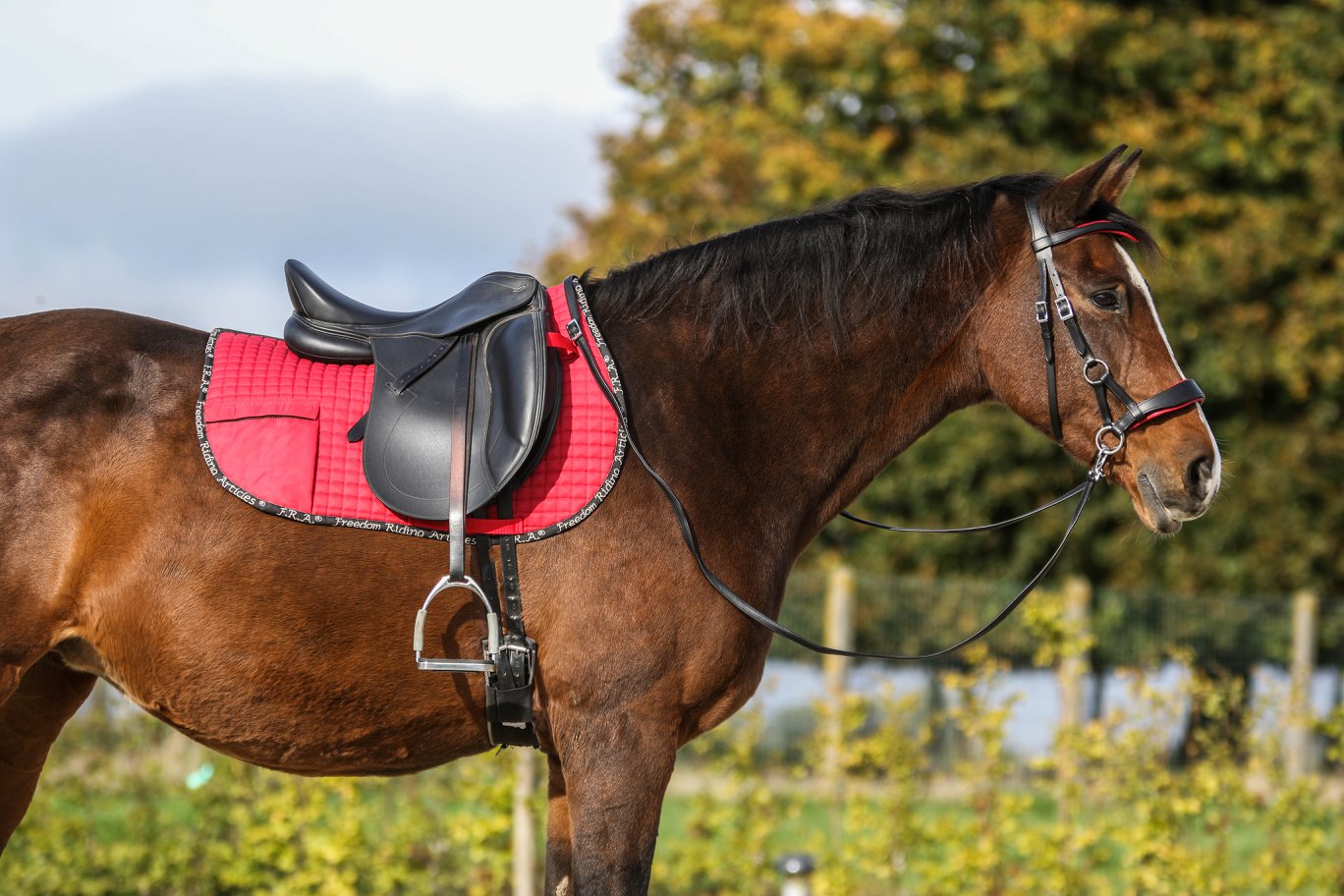F.R.A.® Saddle pad with side pockets (incl. inserts!), brown - 5