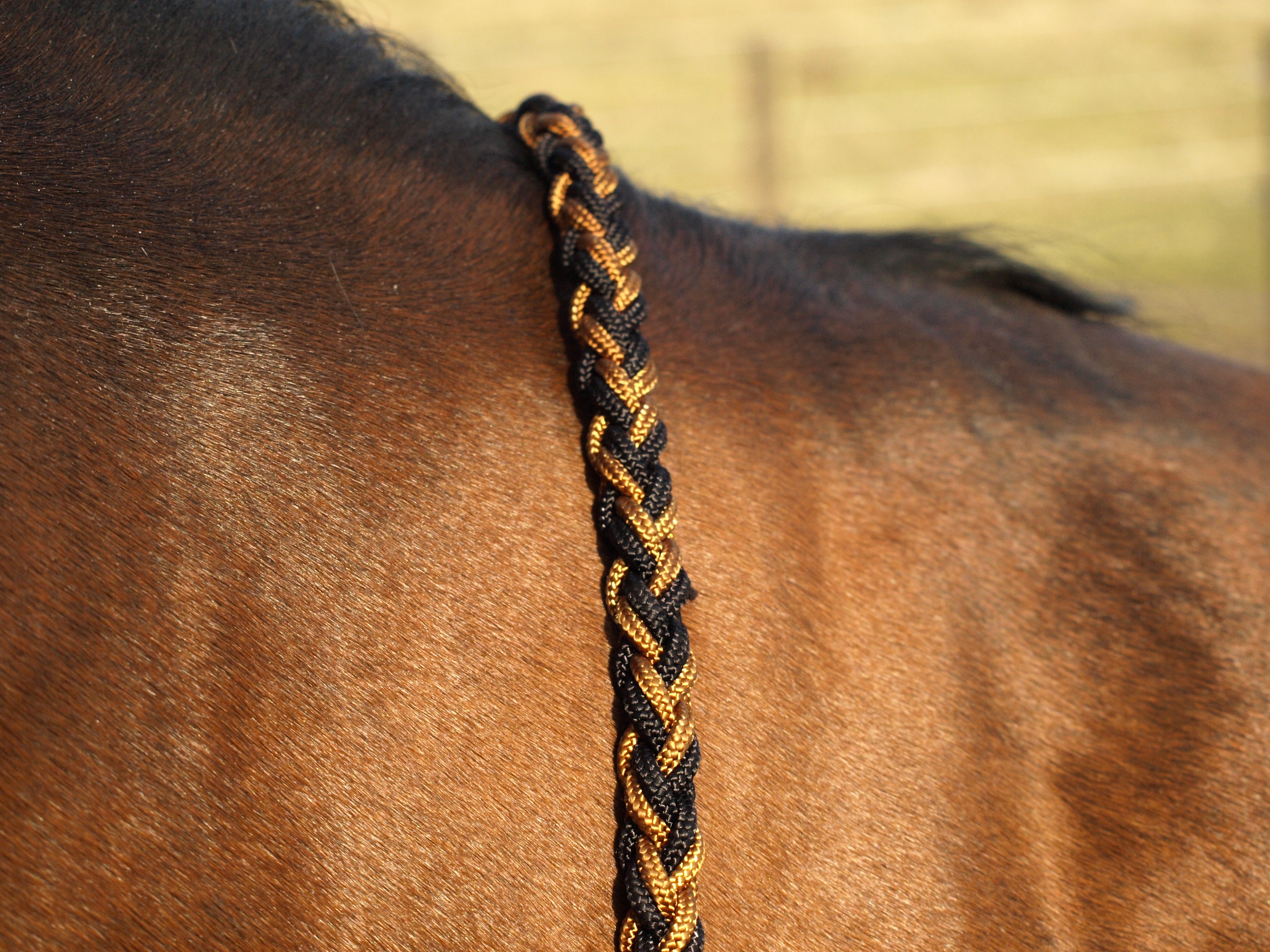 Split Reins Barefoot® Amber (fler färger) - 6