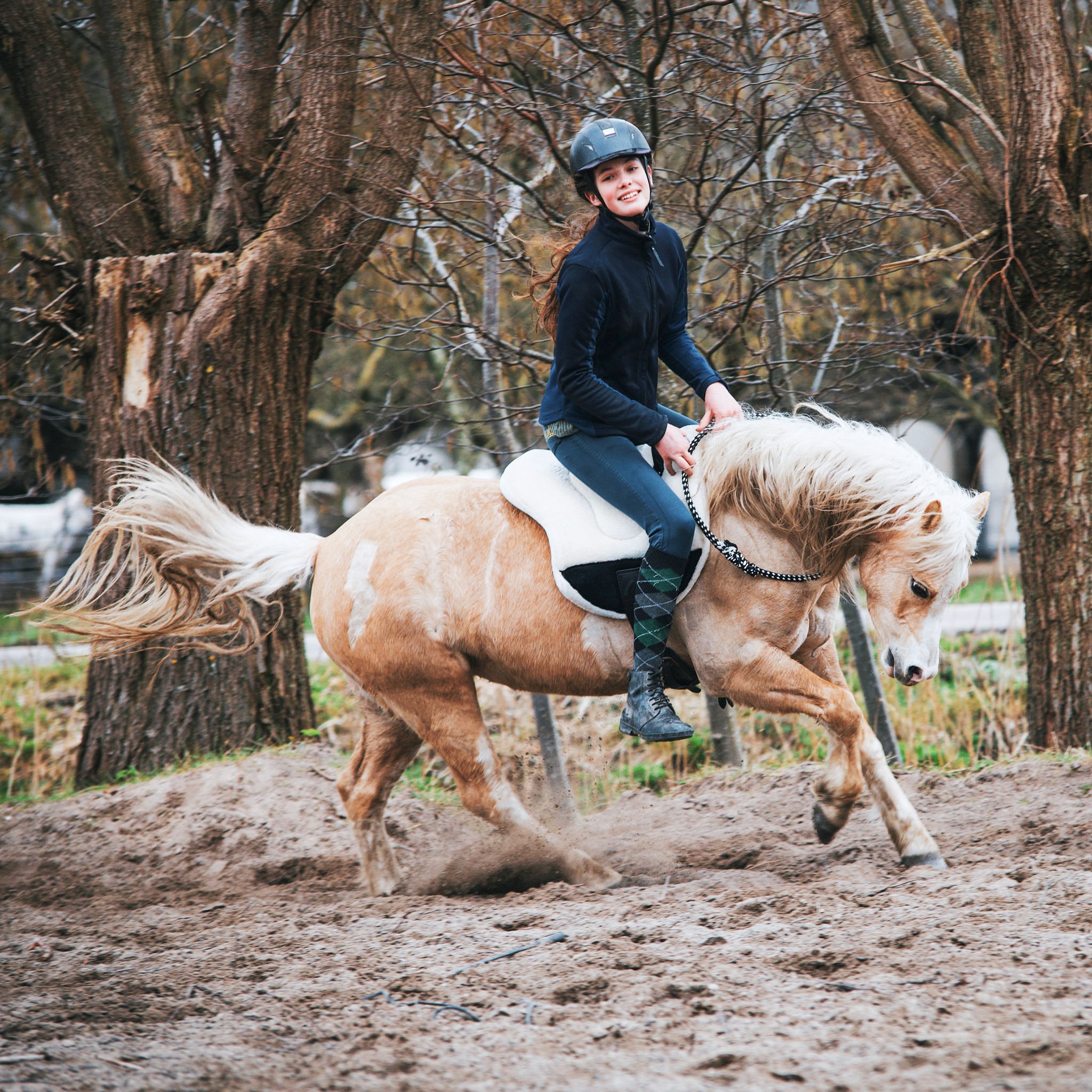 F.R.A® ride pad / bareback saddle Bisco, cream, shetland/pony - 6