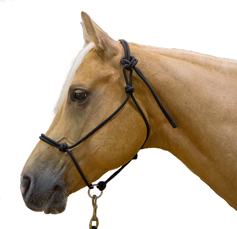 Rope halter Double Diamond #100 (sharp) "Mike Major", average - 4