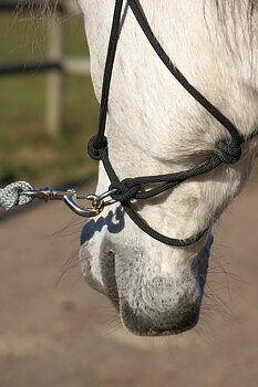 Rope halter Double Diamond #100 (sharp) "Mike Major", average