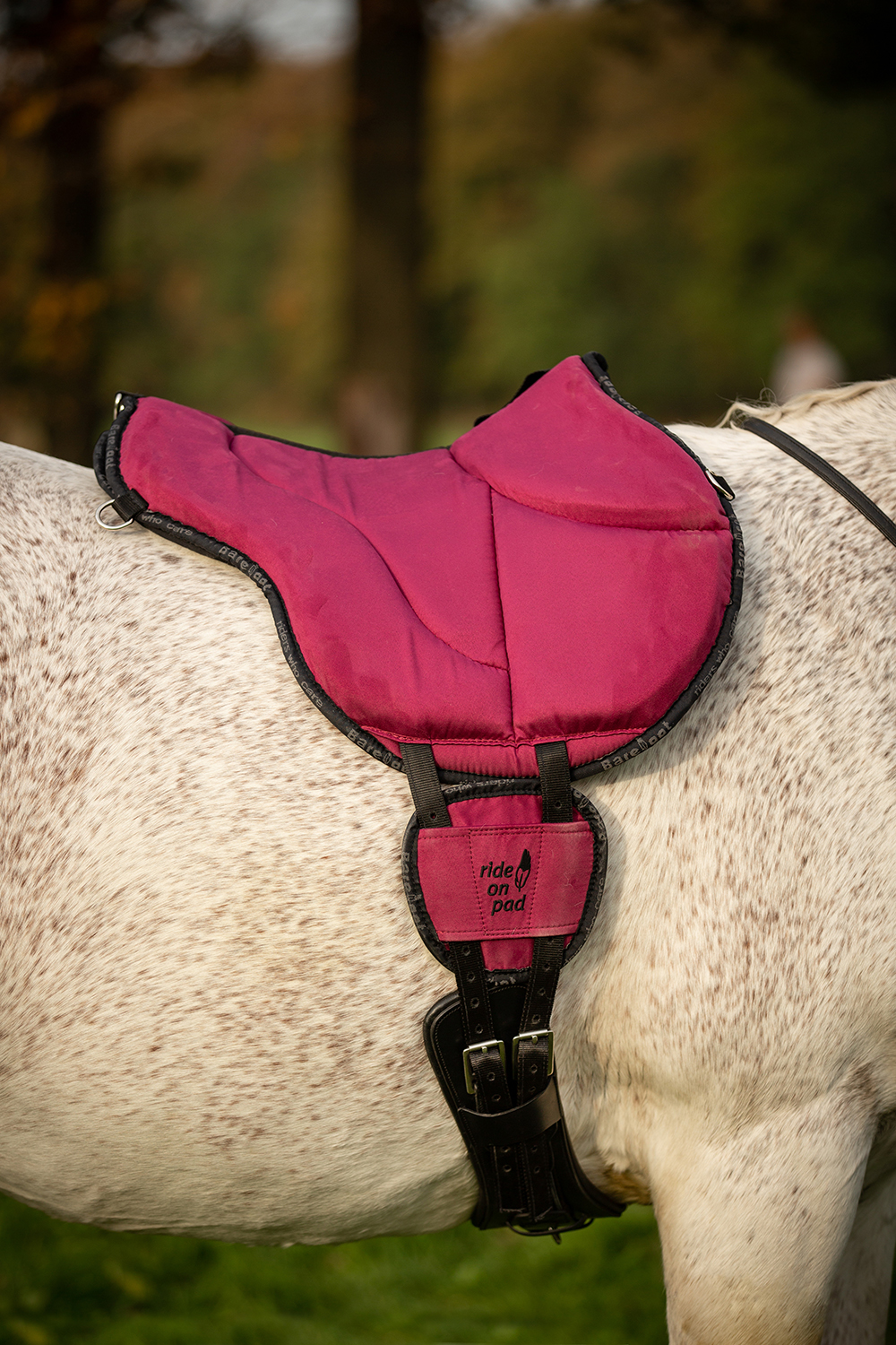 LIMITED EDITION! Barefoot® Ride-On-Pad Physio, plommon - Taur / Opux AB