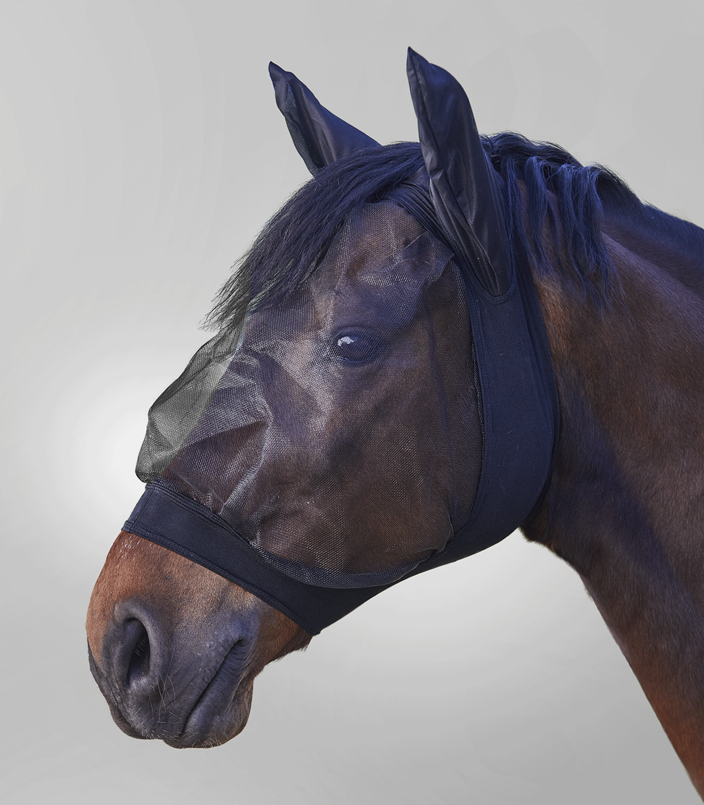 Waldhausen Skinny fly mask, black, pony