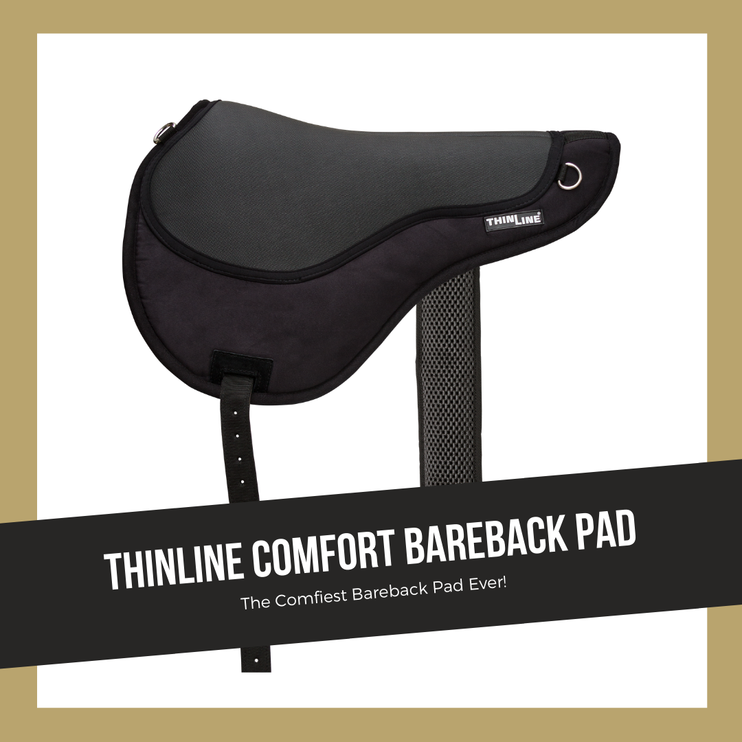 ThinLine® Ride pad / bareback saddle SuperCloseContact (incl. girth), black - 2
