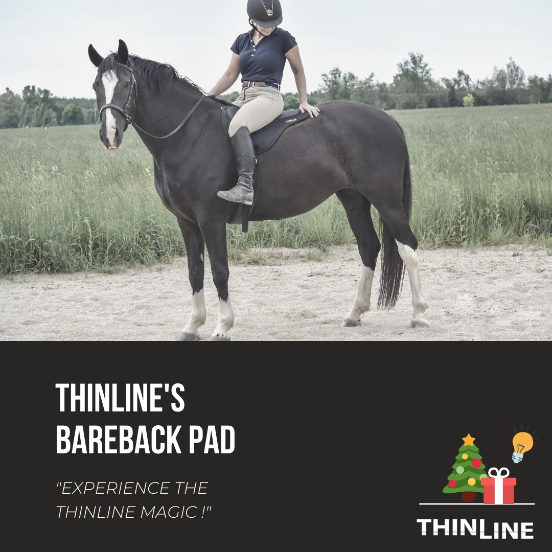 ThinLine® Ride pad / bareback saddle SuperCloseContact (incl. girth), black - 5