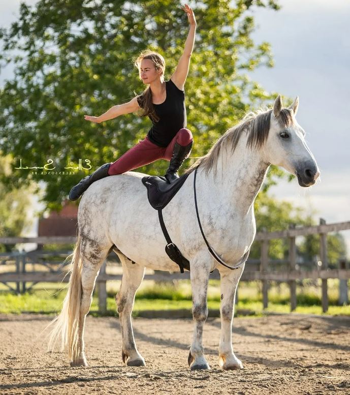 ThinLine® Ride pad / bareback saddle SuperCloseContact (incl. girth), black - 7