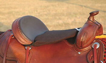 Cashel© Western Tush Cushion