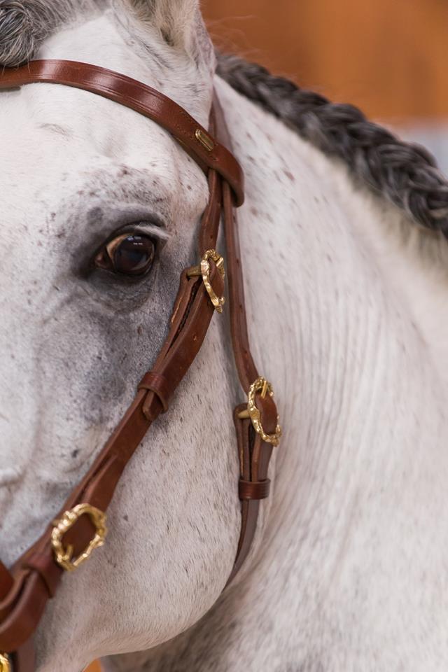 Marjoman Portuguese Classica Bridle incl. rein - 2