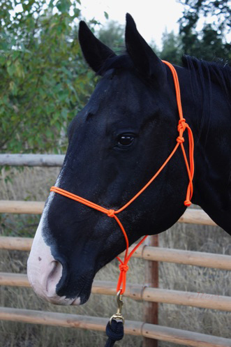 Rope halter Accessory Cord PRO (extra thin), black