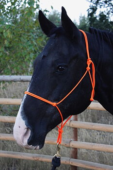Rope halter Accessory Cord PRO (extra thin), black